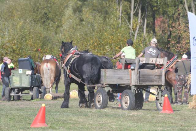 DSC_8939